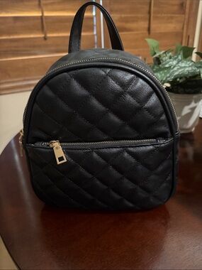 Quilted Black Mini Backpack Handbag